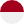 indonesia flag image